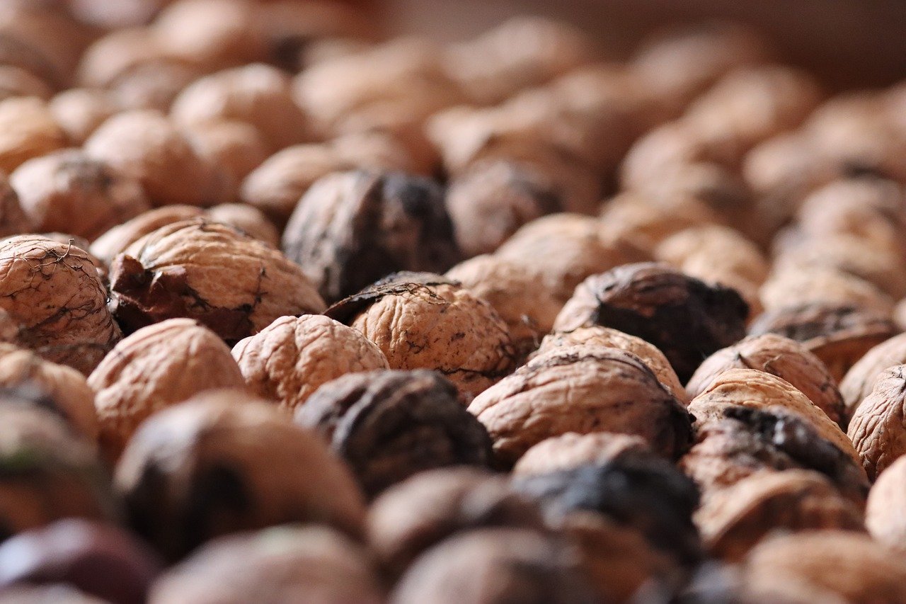 阿凡提绿豆:公司代理注册价格多少合理