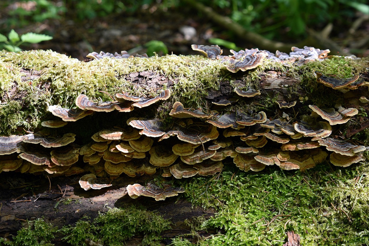 永劫无间辅助- 餐饮app详情下载教程