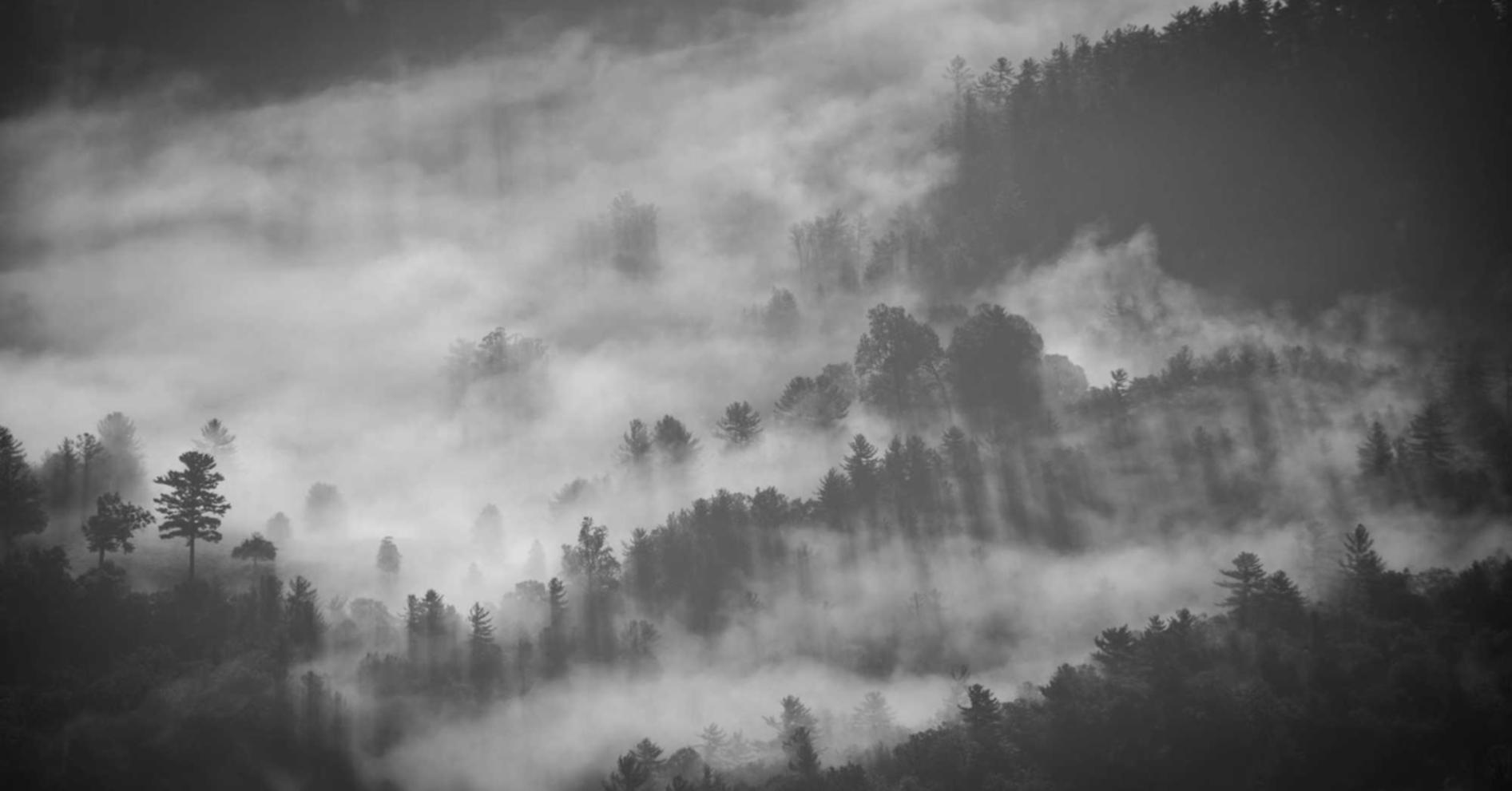 欧盟白金万宝路：互联网代理运营服务平台